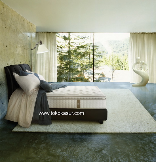 florence san pietro new